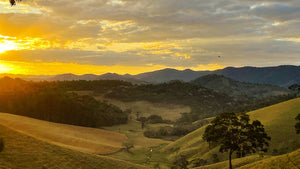 Storie di Caffè: Estrada de Terra